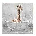 Stupell Industries Baby Giraffe Bath Time Cute Animal Design, 17 x 17, (aa-345_cn_17x17), Canvas