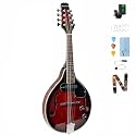 A Style Mandolin, 8 String Acoustic Mahogany Mandolin Musical Instrument