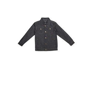 Style Quotient Boys Blue Denim Jacket