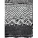 Style Quotient Women Shawl