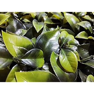 artificial wall grass for home decoration 10 pcs i grass mat for wall i vertical garden artificial wall plants large green leaves 60cm x 40cm x 8cm pack of 10