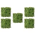 StylishWalls Artificial Wall Grass for Home Decoration (5 Pcs) I Grass Mat for Wall I Vertical Garden Artificial Wall Plants (Green &amp; Purple Design, 50cm X 50cm X 5cm, Pack of 5)