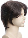 Styllofy Short Hair Wig (Men)