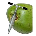 Styxon Stainless Steel Coconut Opener for Fresh Green Young Coconut Water - Works with Peeled Thai Young White Coconuts, 16 X 6 X 1.5 cm, Silver - (Pack- 1) (Pack 1)