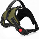 Subaka Dog Buckle Harness