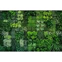 Succulent Plants Aquarium Background Thriving Tropical Green Plants Terrarium Background Sustainable Greenscape Theme Fish Tank Background Natural Green Plants Landscapes Reptile Background 48x20in