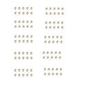 Sujok Therapy Chakra Magnet 10 Pcs (Packet 10, Large)
