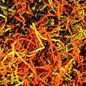 Sukh Multicolor Crinkle Paper Filler - Shredded Paper, Gift Basket Box Wrap