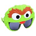 Sun-Staches Sesame Street Costume Sunglasses, Ernie, Bert, Elmo and More