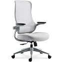 Sunaofe Resistance Ergonomic Office Chair with 135° Recline, 3D Armrests, Breathable Mesh &amp; Adaptive Lumbar Support - 5 Year Warranty