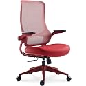 Sunaofe Resistance Ergonomic Office Chair with 135° Recline, 3D Armrests, Breathable Mesh &amp; Adaptive Lumbar Support - 5 Year Warranty