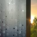 SUNBIRD Window Privacy Film Decorative Stained Glass