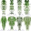 Suncalla 8 Pack Reptile Plants Terrarium Hanging Plant Vine Boston Climbing Terrarium Plant with Suction Cup for Bearded Dragons Lizard Crested Gecko Snake Crab Tank(Petite Leaf Series,Multiple Green)