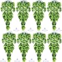 Suncalla 8 Pack Reptile Plants Terrarium Hanging Plant Vine Boston Climbing Terrarium Plant with Suction Cup for Bearded Dragons Lizard Crested Gecko Snake Crab Tank(Popular Series,Green)