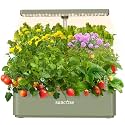SUNCOZE Hydroponics Growing System, Compact 12 Pods Indoor Garden, Green