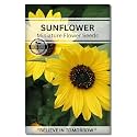 Navika Seeds ; Grow with Us Sunflower Miniature Flower Seed.Perfect for Terrace Gardening Winter &amp; Summer Blooms in India-Include Free E-Book for Kitchen,Backyard,Gardening &amp; Planting.High Germination