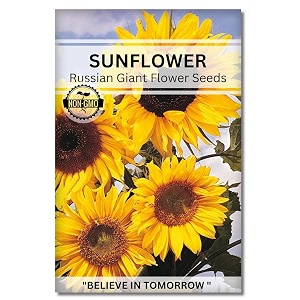 navika seeds  grow with us sunflower russian giant flower seeds for home gardeningperfect for terrace gardening winter amp summer blooms in india-includes free e-book for kitchenbackyard amp planting