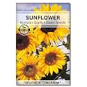 Navika Seeds ; Grow with Us Sunflower Russian Giant Flower Seeds for Home Gardening.Perfect for Terrace Gardening Winter &amp; Summer Blooms in India-Includes Free E-Book for Kitchen,Backyard &amp; Planting