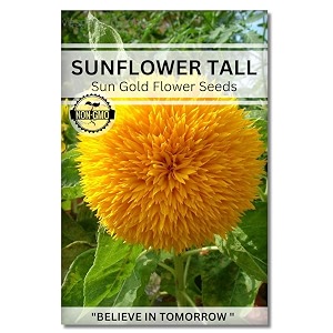 navika seeds  grow with us sunflower tall sungold flower seeds for home gardeningperfect for terrace gardening winter amp summer blooms in india-includes free e-book for kitchenbackyard amp planting