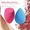 SUNISA Makeup Sponge Blender Set, Multi-Shape Beauty Blending Sponges, 6Pieces