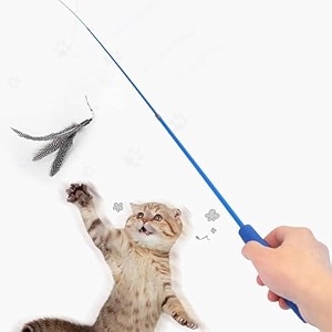sunkizzrs interactive cat feather toy set - activity toys for kittens - wand to exercise cats - stick toy for indoor persian cats retractable stickfeather