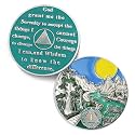 Sunlight 1 Year Sobriety Coin - Recovery One Year AA Coins - Serenity Prayer NA AA Chips and Medallions - 1-65 Prime Living Clean Sober Token - Narcotics Alcoholics Anonymous Gifts for Men Women