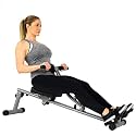 Sunny Health & Fitness Compact Hydraulic Rower with 12-Level Resistance