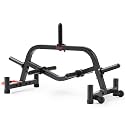 Sunny Health & Fitness Home Gym Weight & Barbell Storage Rack Stand