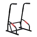 Sunny Health &amp; Fitness Power Tower and Dip Station for Home Training