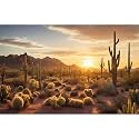 Sunset Desert Reptile Habitat Background Silhouette of Saguaro Cactus Arid Mountain Range Terrarium Background Cacti Sand with Dunes Aquarium Background Desert Mountain Fish Tank Background 72x18in