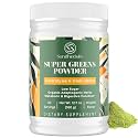 Super Greens Powder Superfood + Electrolytes & Tonic Herbs | Organic Greens, Shilajit, Adaptogens, Antioxidants, Preobiotic & Probiotic & Postbiotic| for Energy, Gut & Immune| Unflavored - 30 Servings