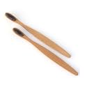 Super Soft activated Charcoal Bristle Manual Toothbrush