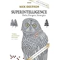 Superintelligence: Paths, Dangers, Strategies