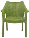 Supreme CAMBRIDGE GREEN SET OF 1 CHAIR FULLY COMFORT nd weight bearing capacity 200 kg outdoor chair Plastic Outdoor Chair