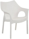 Supreme CAMBRIDGE MILKY WHITE SET OF 1 CHAIR FULLY COMFORT nd weight bearing capacity 200 kg outdoor chair Plastic Cafeteria Chair