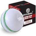 Supreme Leather Cricket Ball | 100% Handstitched, 156g-5.5oz, 4-Piece Premium Leather, Waterproofing | Match Quality Hard Cricket Balls for Matches & Net Practice.