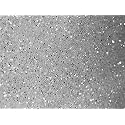 Supreme Quality "White Shining Sugar Premium Glitter" Multi Purpose Glitter Powder 20 Gm Pack for use with Arts & Crafts & Weddings Cards Flowers & Cosmetic Face