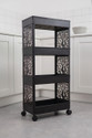 Surety for Safety Shelf Organizers
