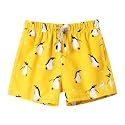 SURF CUZ Surfcuz Little Boys Swim Trunks UPF 50+ Toddler Beach Shorts Swimsuit Kids Quick Dry Swimwear
