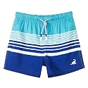 SURF CUZ Surfcuz Little Boys Swim Trunks UPF 50+ Toddler Beach Shorts Swimsuit Kids Quick Dry Swimwear