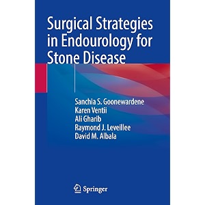 surgical strategies in endourology for stone disease