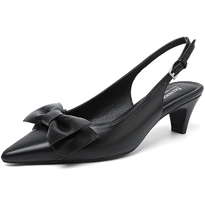 Susanny Kitten Heels for Women Closed Pointed