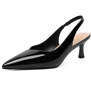 Susanny Kitten Heels for Women Closed Pointed