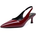 Susanny Kitten Heels for Women Closed Pointed