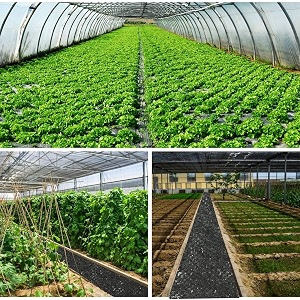 siddhi weed mat 1 meter325 feet width 100 meter320 feet length 110 gsm garden weed fabric weed block gardening mat weed control bed