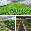 siddhi Weed Mat 1 Meter(3.25 Feet) Width 100 Meter(320 Feet) Length 110 GSM Garden Weed Fabric Weed Block Gardening Mat Weed Control Bed