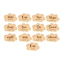 Baby Monthly Milestone Cards Claude Shape-13 Light Birch Monthly Baby Milestone Cards From Newborn To 1 Year Wooden Monthly Milestones Baby Photoshoot , 13 Count