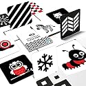 High Contrast Learning Cards - Newborn to 3 Year Olds, 80 Black & White Visuals