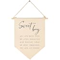 Sweet Boy-Baby Banner Pennant Gift Shower-Flag Decor Gift for Boys Newborn Kids-Banner Pennant Wall Sign Present for Nursery Baby Room Playroom Bedroom Decor