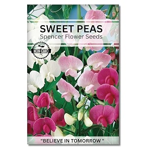 navika seeds  grow with us sweet peas flower seedperfect for home amp terrace gardening winter amp summer blooms in india-includes free e-book for kitchenbackyardgardening amp plantinghigh germination
